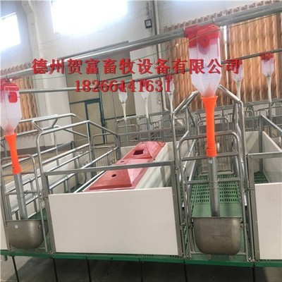 養(yǎng)殖定位欄與賀富設備廠 畜牧設備技術的創(chuàng)新與發(fā)展